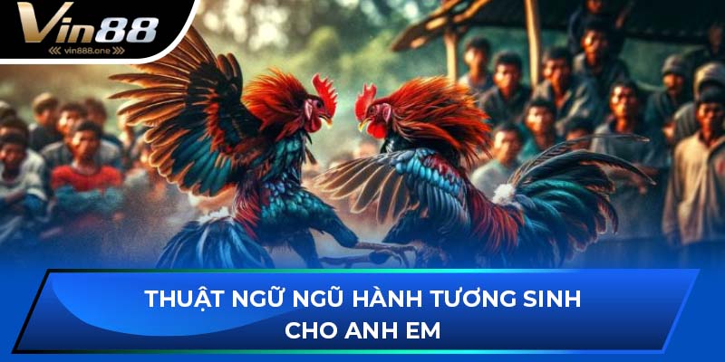 Thuật ngữ ngũ hành tương sinh cho anh em